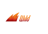 logo wildslots